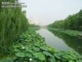 /album/%e7%9b%b8%e5%86%8c/%e6%8a%a4%e5%9f%8e%e6%b2%b3-jpg/
